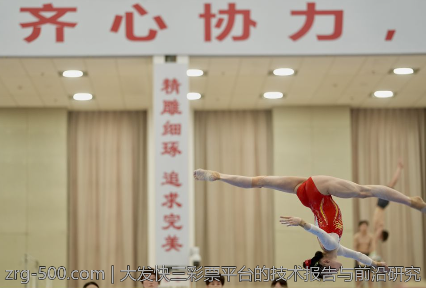 大发快三彩票平台的技术报告与前沿研究